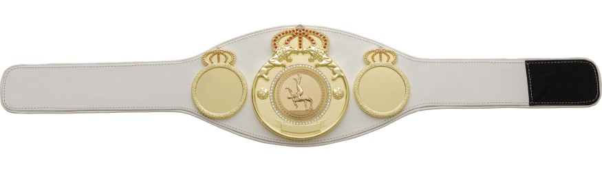WRESTLING CHAMPIONSHIP BELT PROLION/G/WRESTG - AVAILABLE IN 6+ COLOURS WRESTLING CHAMPIONSHIP BELT PROLION/G/WRESTG - AVAILABLE IN 6+ COLOURS